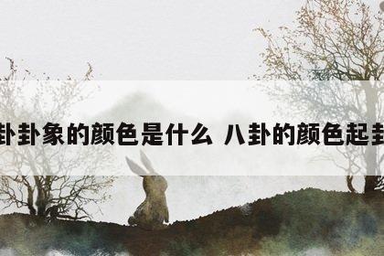 八卦卦象的颜色是什么 八卦的颜色起卦法
