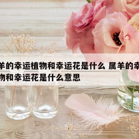 属羊的幸运植物和幸运花是什么 属羊的幸运植物和幸运花是什么意思
