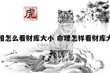 面相怎么看财库大小 命理怎样看财库大小