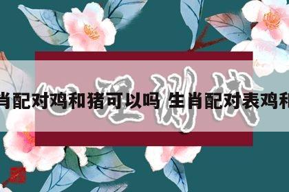 生肖配对鸡和猪可以吗 生肖配对表鸡和猪