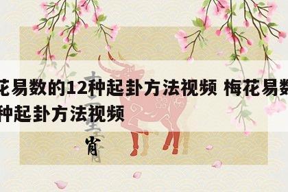 梅花易数的12种起卦方法视频 梅花易数的12种起卦方法视频