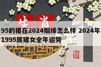 95的猪在2024姻缘怎么样 2024年1995属猪女全年运势