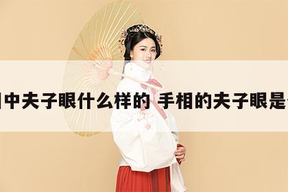 手相中夫子眼什么样的 手相的夫子眼是什么