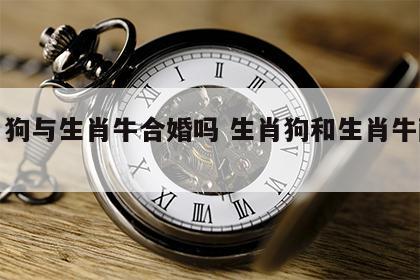 生肖狗与生肖牛合婚吗 生肖狗和生肖牛配吗?