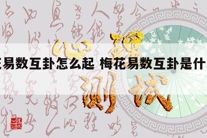 梅花易数互卦怎么起 梅花易数互卦是什么意思