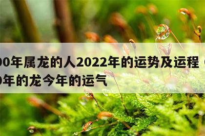 00年属龙的人2022年的运势及运程 00年的龙今年的运气