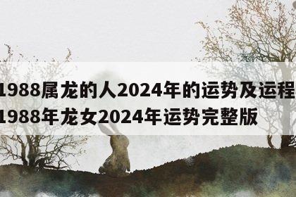 1988属龙的人2024年的运势及运程 1988年龙女2024年运势完整版