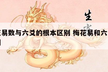 梅花易数与六爻的根本区别 梅花易和六爻的区别