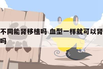 血型不同能肾移植吗 血型一样就可以肾移植手术吗