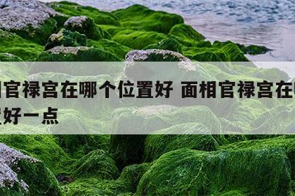 面相官禄宫在哪个位置好 面相官禄宫在哪个位置好一点