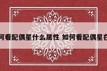 如何看配偶星什么属性 如何看配偶星在哪