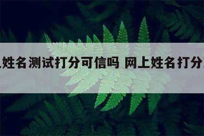 网上姓名测试打分可信吗 网上姓名打分准不准