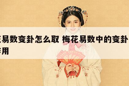 梅花易数变卦怎么取 梅花易数中的变卦有什么作用