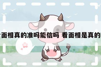 看面相真的准吗能信吗 看面相是真的吗