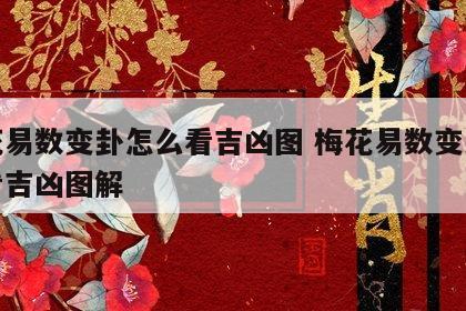 梅花易数变卦怎么看吉凶图 梅花易数变卦怎么看吉凶图解