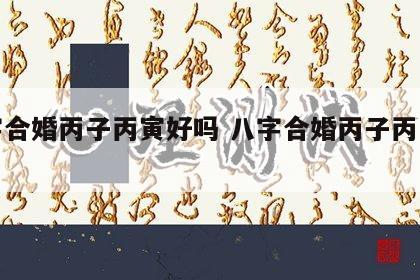 八字合婚丙子丙寅好吗 八字合婚丙子丙寅好吗