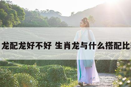 生肖龙配龙好不好 生肖龙与什么搭配比较好