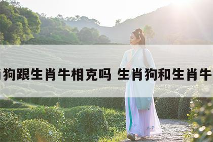 生肖狗跟生肖牛相克吗 生肖狗和生肖牛合吗