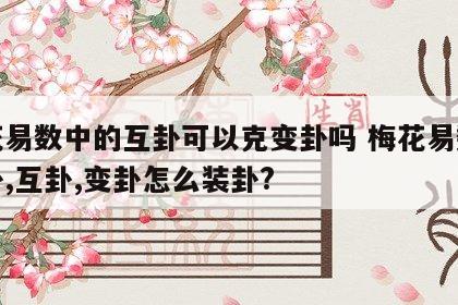 梅花易数中的互卦可以克变卦吗 梅花易数的本卦,互卦,变卦怎么装卦?