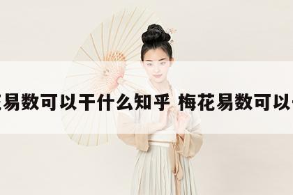 梅花易数可以干什么知乎 梅花易数可以干嘛