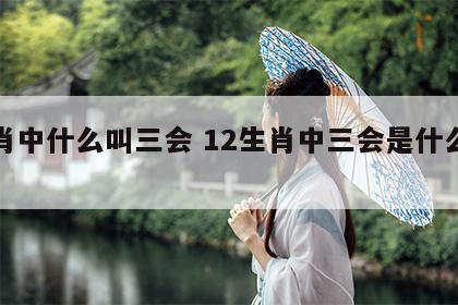 生肖中什么叫三会 12生肖中三会是什么意思
