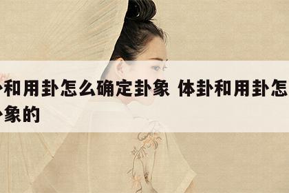体卦和用卦怎么确定卦象 体卦和用卦怎么确定卦象的