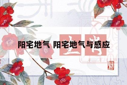 阳宅地气 阳宅地气与感应