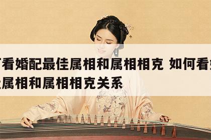 如何看婚配最佳属相和属相相克 如何看婚配最佳属相和属相相克关系