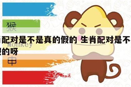 生肖配对是不是真的假的 生肖配对是不是真的假的呀