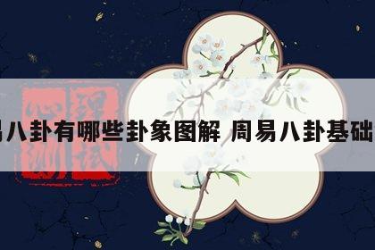 周易八卦有哪些卦象图解 周易八卦基础知识