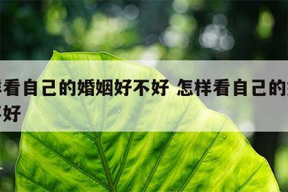 怎样看自己的婚姻好不好 怎样看自己的婚姻好不好