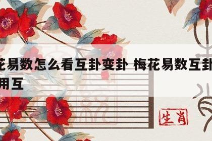 梅花易数怎么看互卦变卦 梅花易数互卦 体互 用互