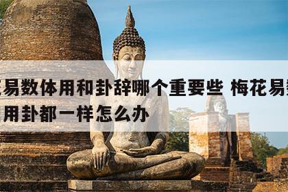 梅花易数体用和卦辞哪个重要些 梅花易数体卦和用卦都一样怎么办