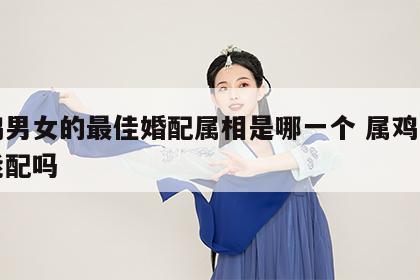 属鸡男女的最佳婚配属相是哪一个 属鸡的男女能配吗