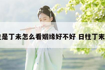 日柱是丁未怎么看姻缘好不好 日柱丁末男命