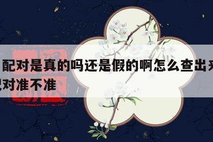 姓名配对是真的吗还是假的啊怎么查出来 姓名配对准不准