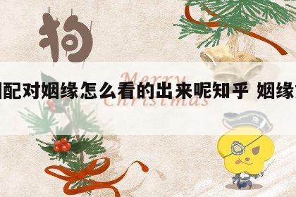 婚姻配对姻缘怎么看的出来呢知乎 姻缘如何看