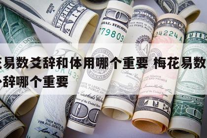 梅花易数爻辞和体用哪个重要 梅花易数体用和卦辞哪个重要