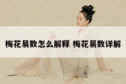 梅花易数怎么解释 梅花易数详解