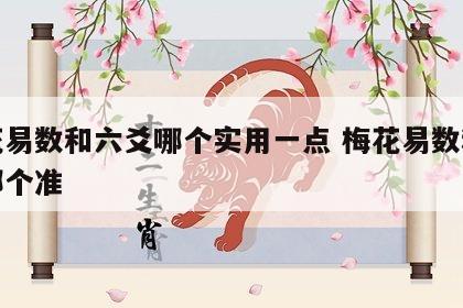 梅花易数和六爻哪个实用一点 梅花易数和六爻哪个准