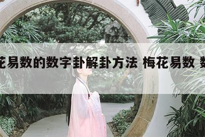 梅花易数的数字卦解卦方法 梅花易数 数字卦