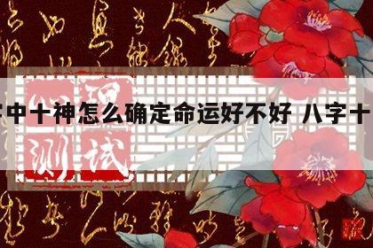 八字中十神怎么确定命运好不好 八字十神判断