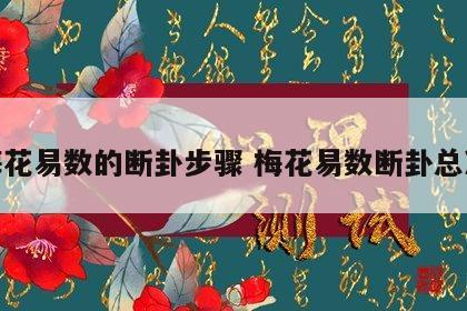 梅花易数的断卦步骤 梅花易数断卦总决