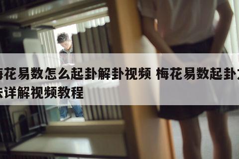 梅花易数怎么起卦解卦视频 梅花易数起卦方法详解视频教程
