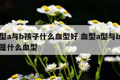 血型a与b孩子什么血型好 血型a型与b孩子是什么血型