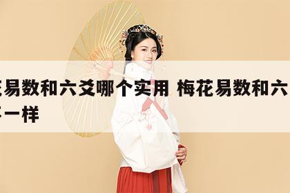 梅花易数和六爻哪个实用 梅花易数和六爻矛盾不一样