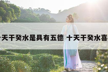 十天干癸水是具有五德 十天干癸水喜忌