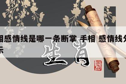 手相感情线是哪一条断掌 手相 感情线分岔图示