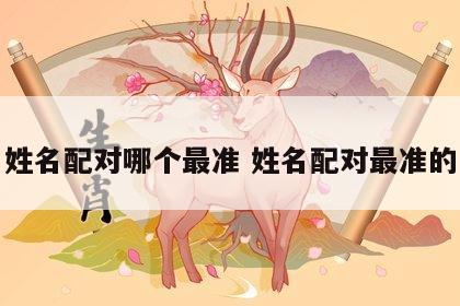 姓名配对哪个最准 姓名配对最准的