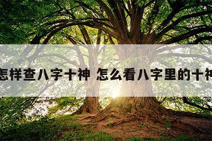 怎样查八字十神 怎么看八字里的十神
